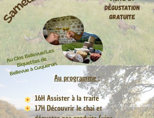 Après-midi au Clos Bellevue à Cuqueron (64) – 10 mai