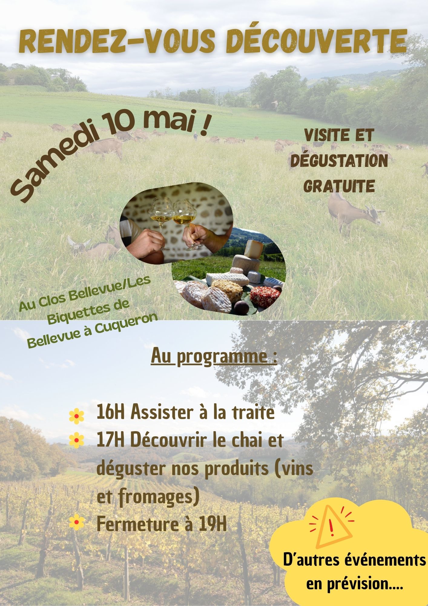 Evasion gourmande (vins, fromages et soleil)